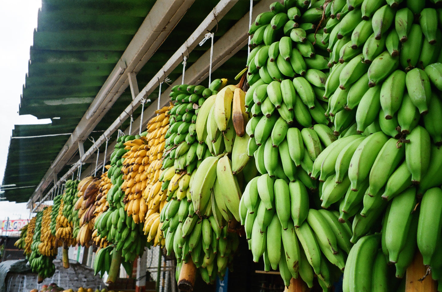 Marketplace for Bananas - Art Print