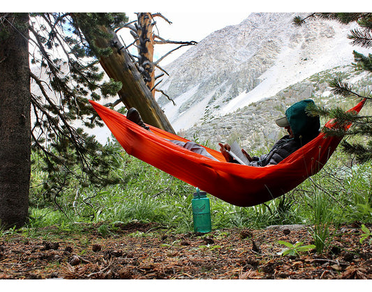 Hammock in Yosemite National Park - Art Print