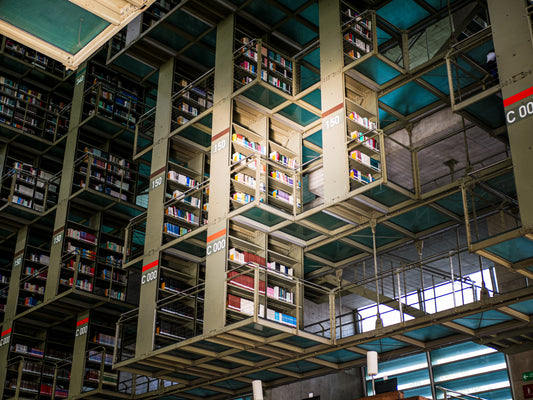 Hanging Library - Mexico City - Art Print