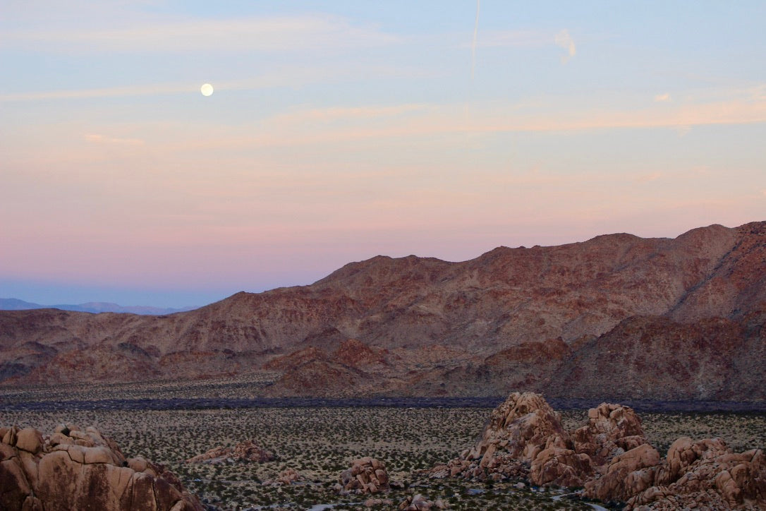 The Road Through Joshua Tree, California - Art Print