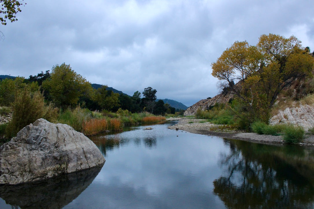 Los Padres National Forest, California - Art Print