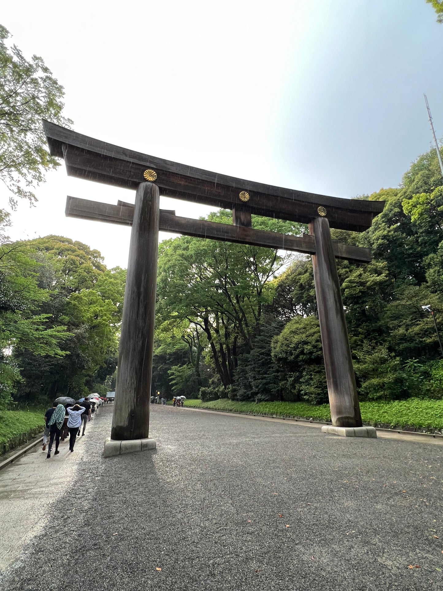 Meiji Temple - Japan - Art Print