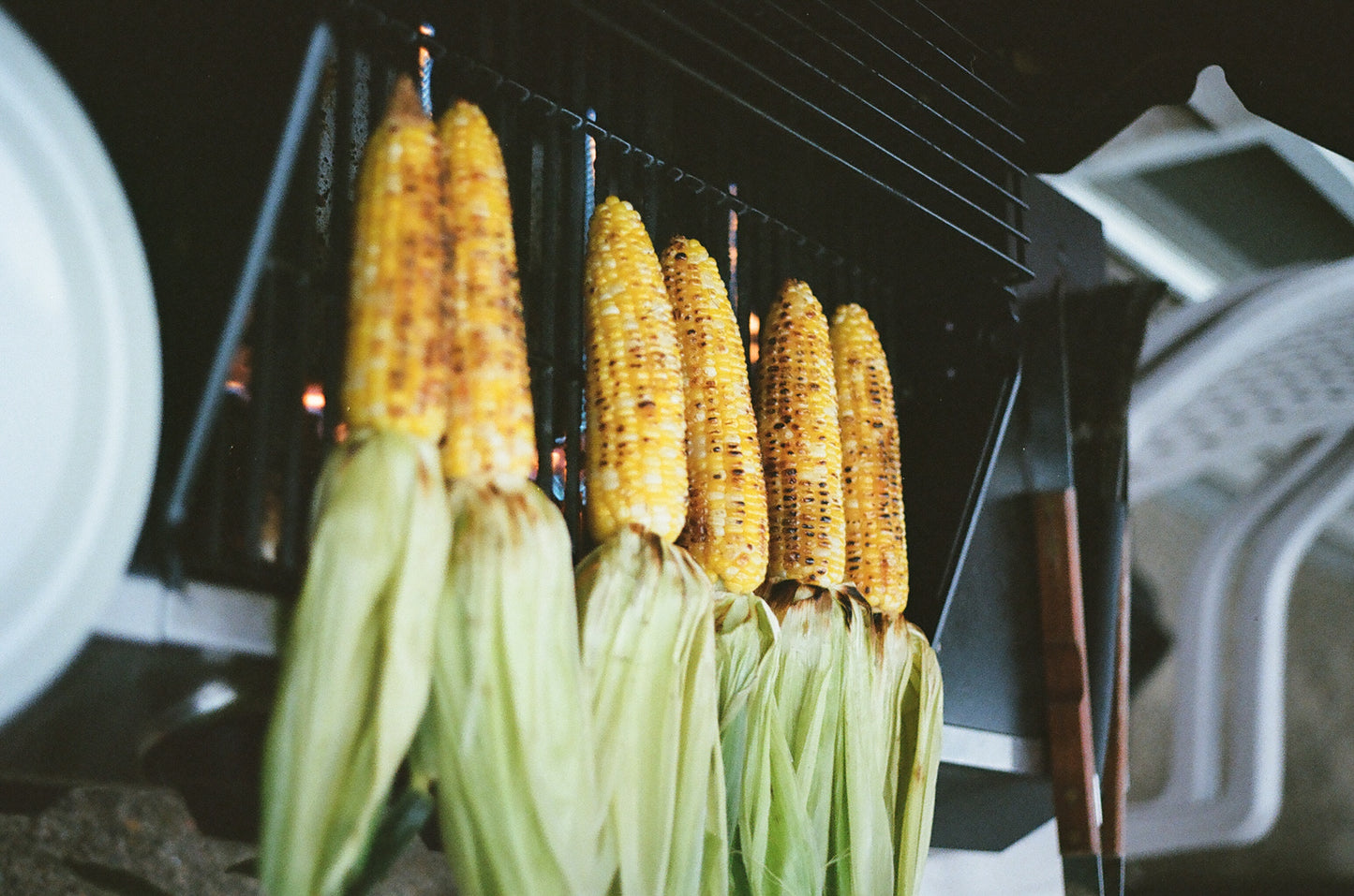 Roasted Corn (Elote) - Art Print