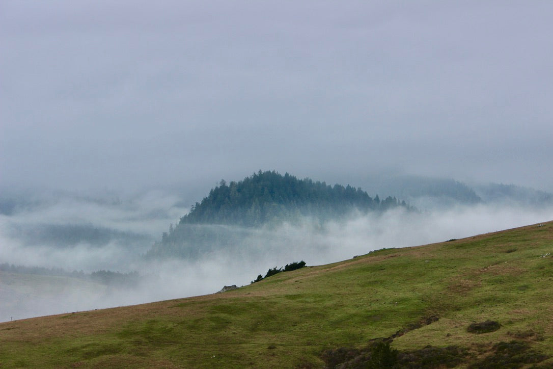 Bodega Bay in Sonoma County - Art Print