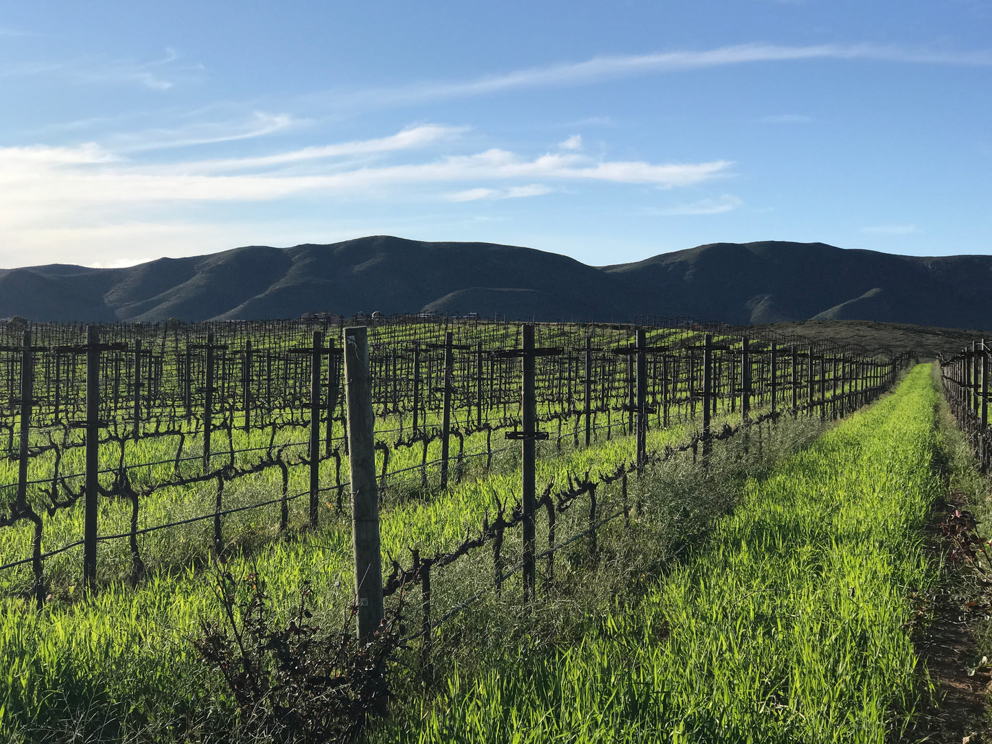 Valle de Guadalupe - Winery in Baja California, Mexico - Art Print